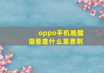 oppo手机唤醒语音是什么意思啊