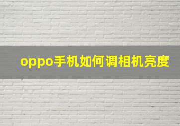 oppo手机如何调相机亮度