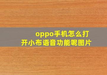 oppo手机怎么打开小布语音功能呢图片