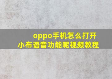 oppo手机怎么打开小布语音功能呢视频教程