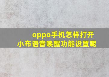 oppo手机怎样打开小布语音唤醒功能设置呢