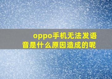 oppo手机无法发语音是什么原因造成的呢