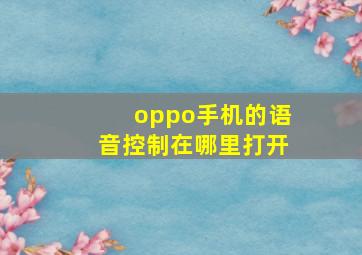 oppo手机的语音控制在哪里打开