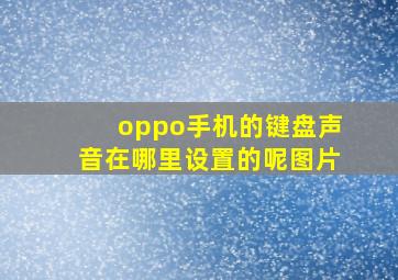 oppo手机的键盘声音在哪里设置的呢图片