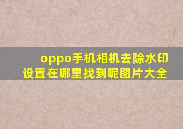 oppo手机相机去除水印设置在哪里找到呢图片大全