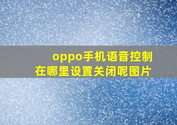 oppo手机语音控制在哪里设置关闭呢图片