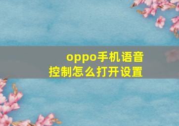 oppo手机语音控制怎么打开设置