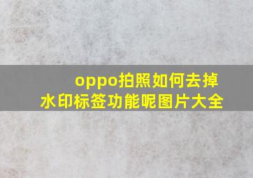 oppo拍照如何去掉水印标签功能呢图片大全