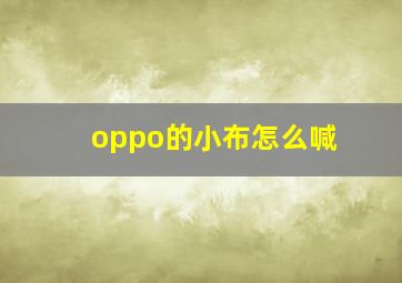 oppo的小布怎么喊