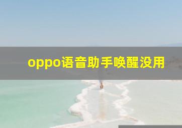 oppo语音助手唤醒没用