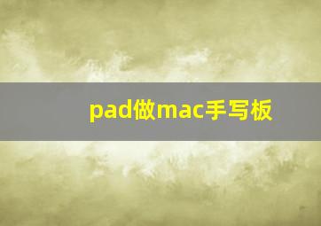 pad做mac手写板