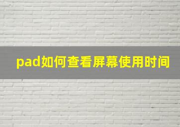 pad如何查看屏幕使用时间