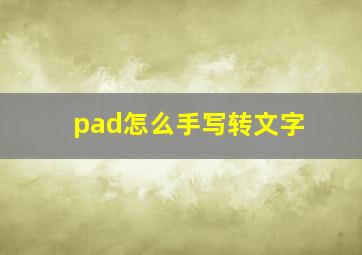 pad怎么手写转文字