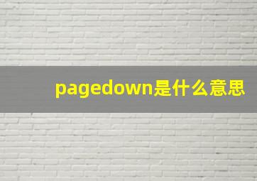 pagedown是什么意思