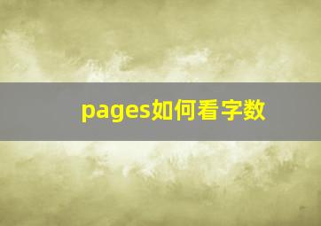 pages如何看字数