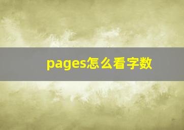 pages怎么看字数