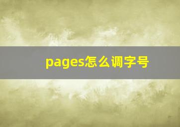 pages怎么调字号