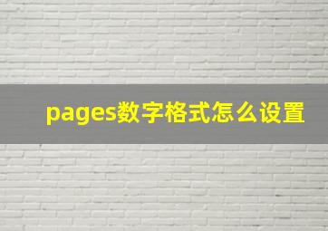 pages数字格式怎么设置