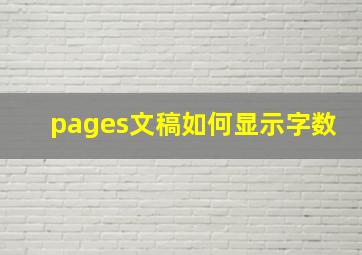 pages文稿如何显示字数