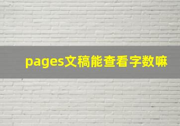 pages文稿能查看字数嘛