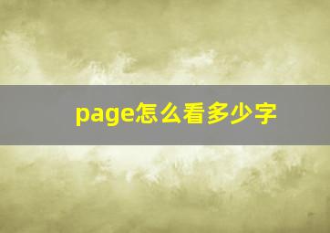 page怎么看多少字