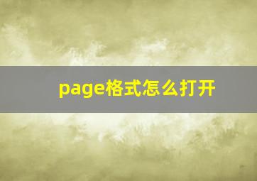 page格式怎么打开