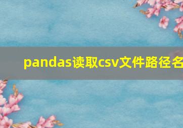 pandas读取csv文件路径名