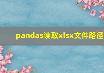 pandas读取xlsx文件路径