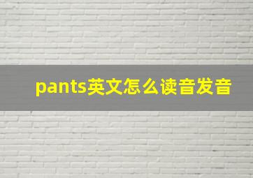 pants英文怎么读音发音