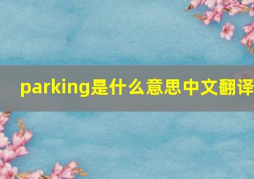 parking是什么意思中文翻译