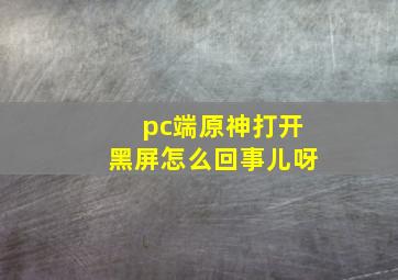 pc端原神打开黑屏怎么回事儿呀