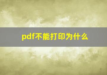 pdf不能打印为什么