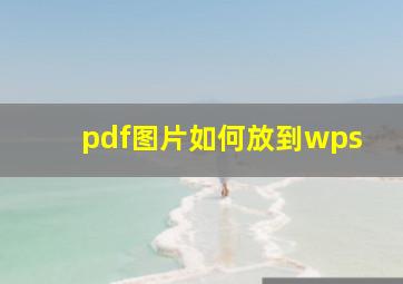 pdf图片如何放到wps