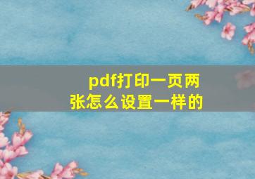 pdf打印一页两张怎么设置一样的