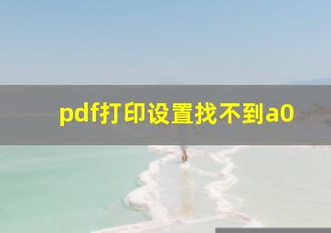 pdf打印设置找不到a0