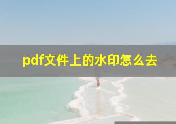 pdf文件上的水印怎么去