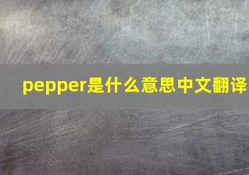 pepper是什么意思中文翻译