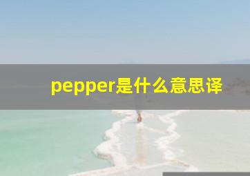 pepper是什么意思译