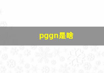 pggn是啥