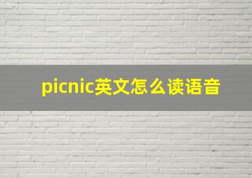 picnic英文怎么读语音