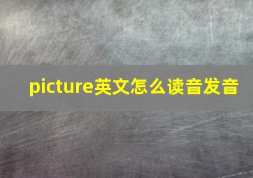 picture英文怎么读音发音