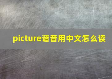 picture谐音用中文怎么读