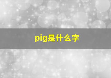 pig是什么字