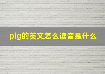 pig的英文怎么读音是什么