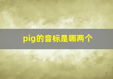 pig的音标是哪两个