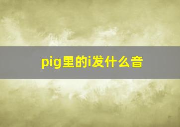 pig里的i发什么音