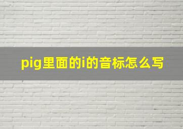 pig里面的i的音标怎么写