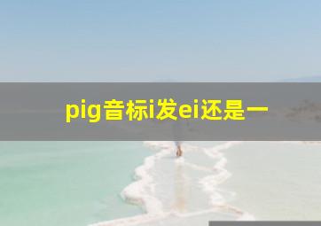 pig音标i发ei还是一