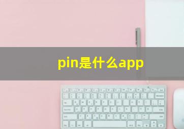 pin是什么app