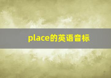 place的英语音标